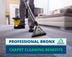 Read more about the article Benefits of Carpet Cleaning Bronx: A Comprehensive Guide