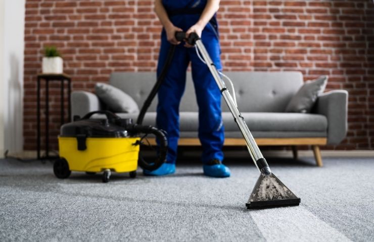 What Is the Average Cost of Carpet Cleaning in Bronx, NY