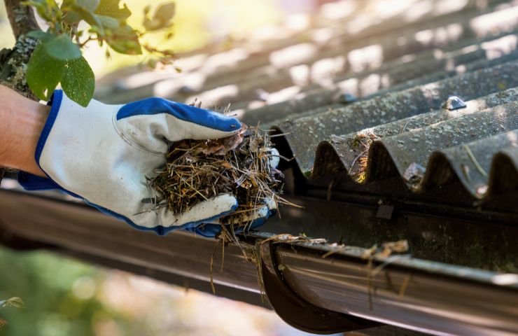 Premier Gutter Cleaning for Every Property Type in Bronx, NY