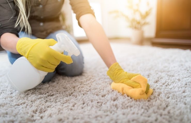 Specialized Rug Cleaning Services in Bronx Near me for Different Rug Types