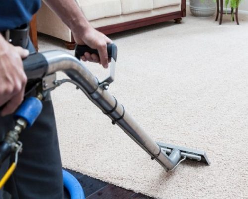 How Much Will Rug Cleaning Cost in Bronx, NY